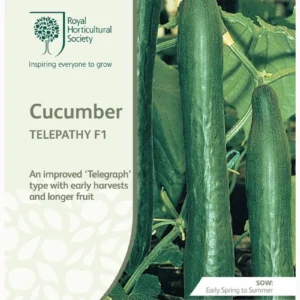 Cucumber Telepathy F1