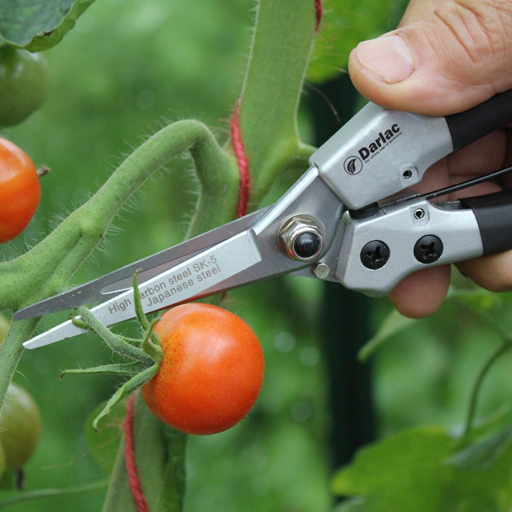 Darlac Compact Snips - Image 3