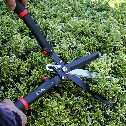 Darlac Triblade Shear - Image 3