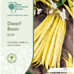 Dwarf Bean Dior