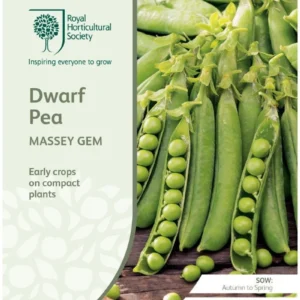 Dwarf Pea Massey Gem
