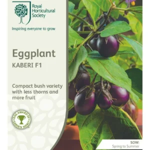 Eggplant Kaberi F1