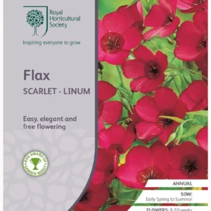 Flax Scarlet - Linum