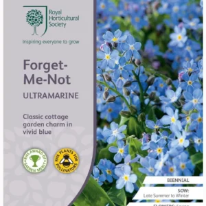 Forget-Me-Not Ultramarine