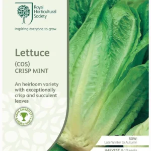 Lettuce (Cos) Crisp Mint