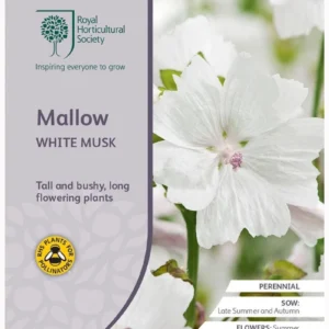 Mallow White Musk
