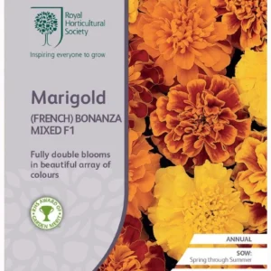 Marigold (French) Bonanza F1 Mixed