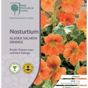 Nasturtium Alaska Salmon Orange