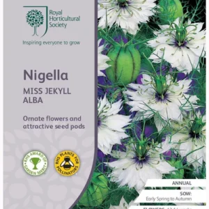 Nigella Miss Jekyll Alba