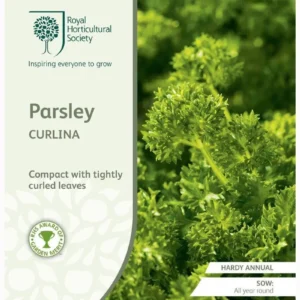 Parsley Curlina