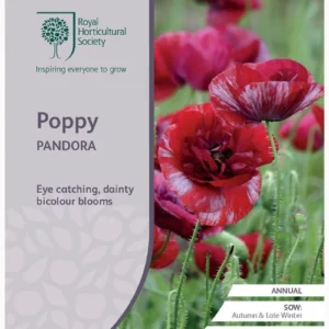 Poppy Pandora