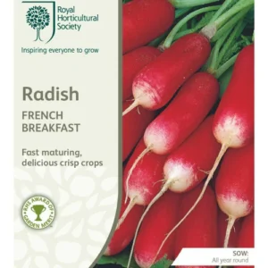 Radish French Breakfast