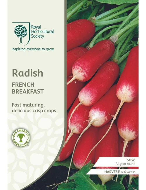 Radish French Breakfast