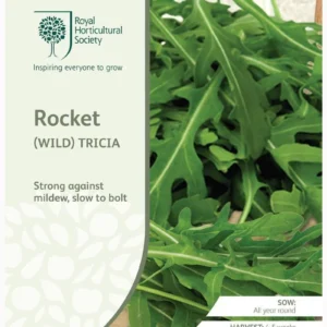 Rocket (Wild) Tricia