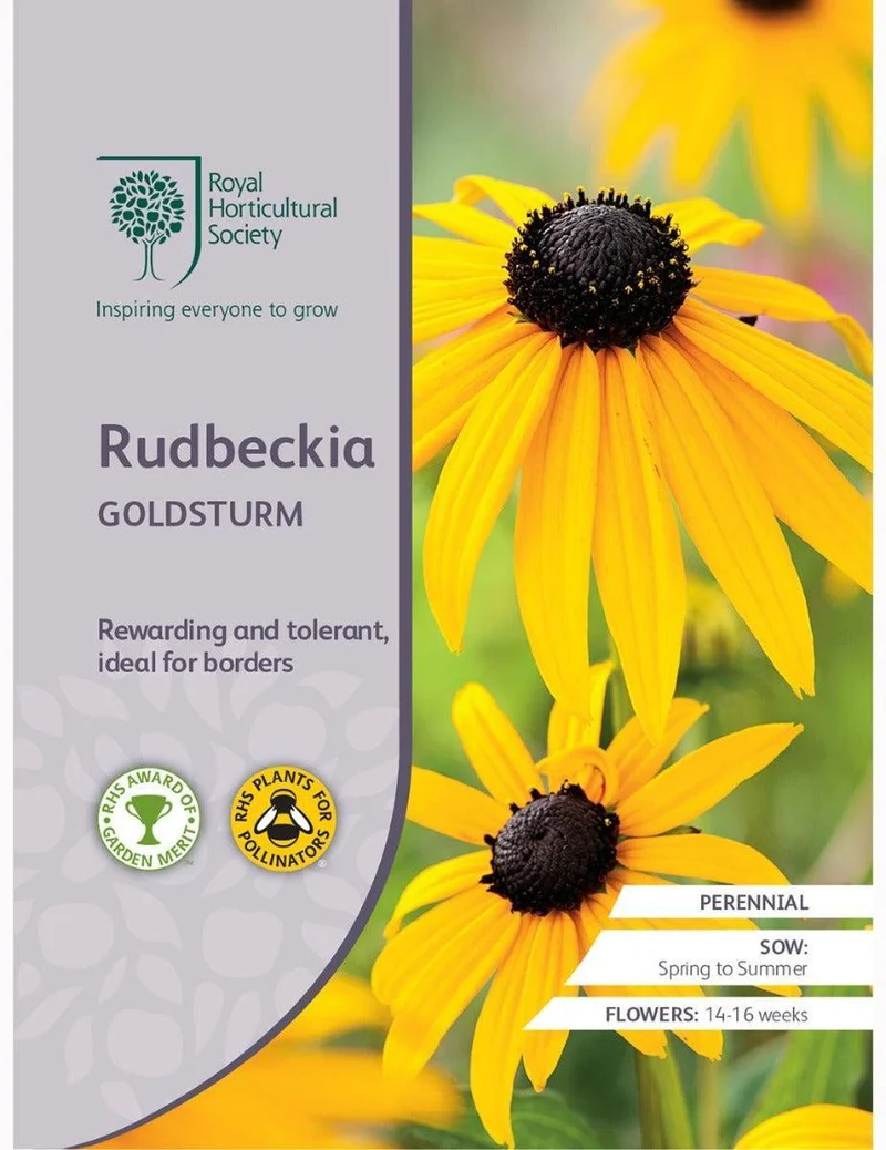 Rudbeckia Goldsturm