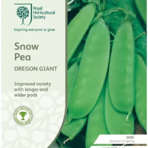 Snow Pea Oregon Giant