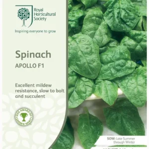 Spinach Apollo F1