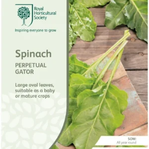 Spinach Perpetual Gator