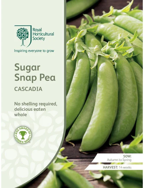 Sugar Snap Pea Cascadia