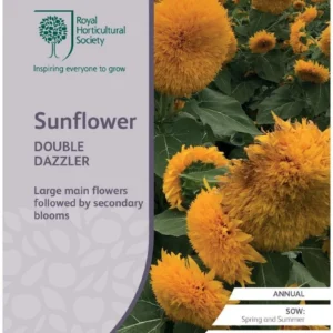 Sunflower Double Dazzler
