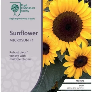 Sunflower Microsun F1