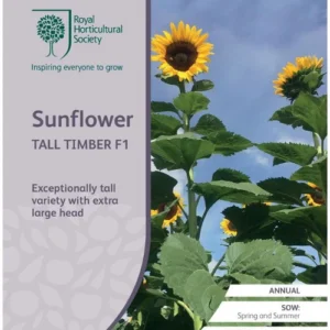 Sunflower Tall Timber F1