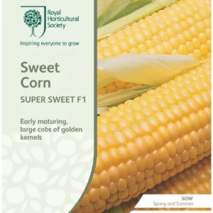 Sweet Corn Super Sweet F1