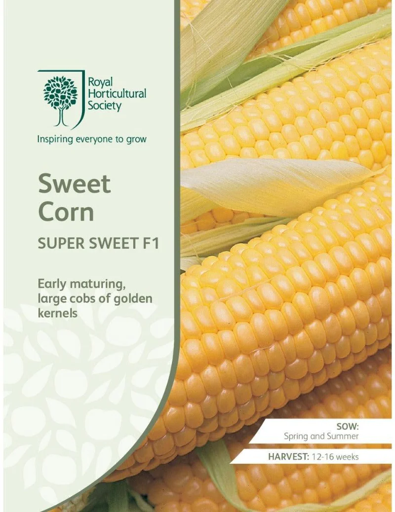 Sweet Corn Super Sweet F1