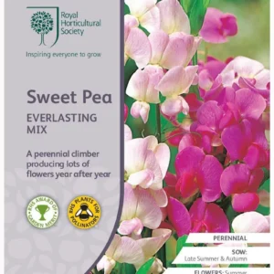 Sweet Pea Everlasting Mix
