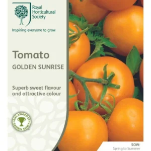 Tomato Golden Sunrise