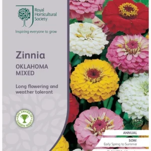 Zinnia Oklahoma Mix