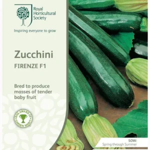 Zucchini Firenze F1