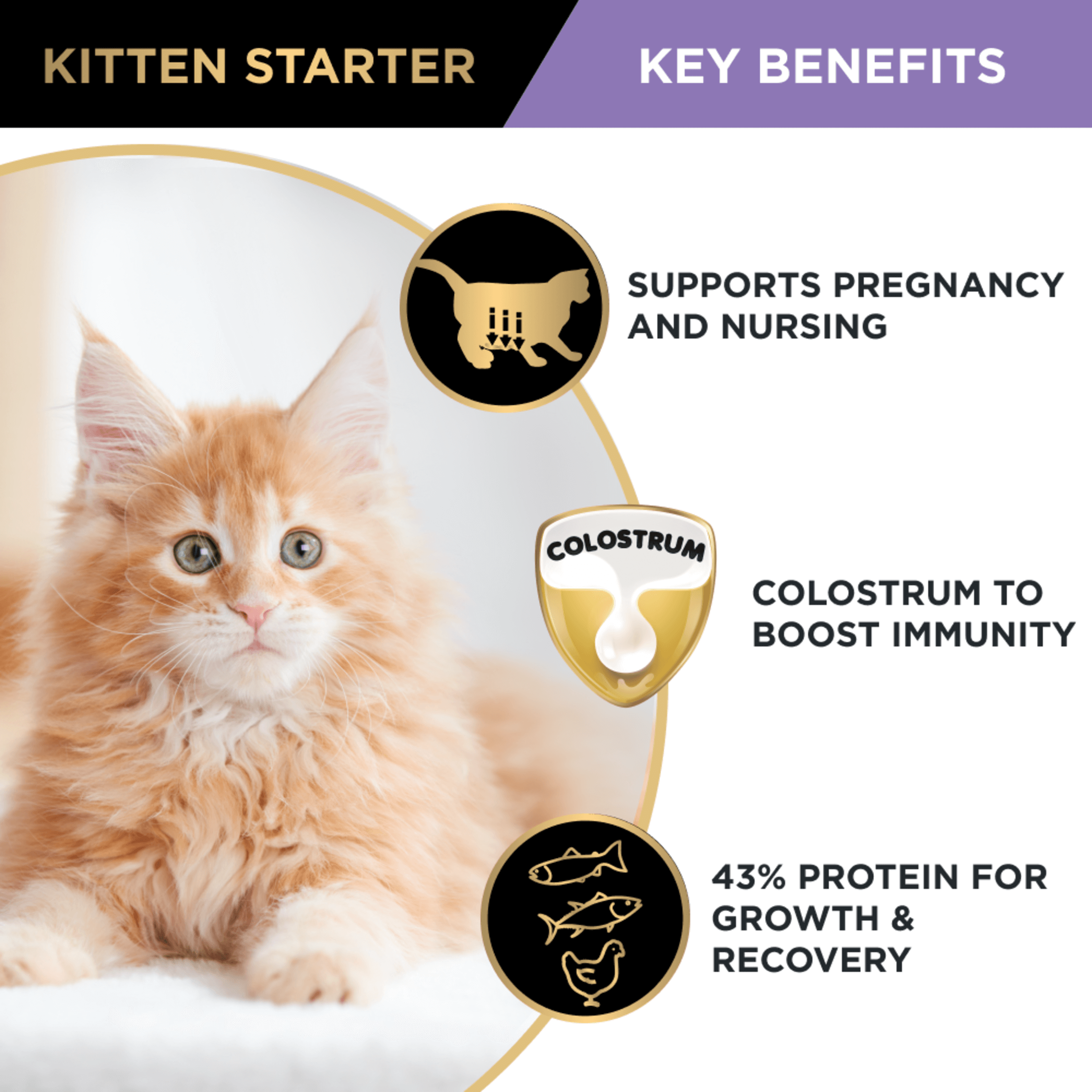 PRO PLAN Kitten Starter Salmon & Tuna Formula Dry Cat Food 1.5kg - Image 9