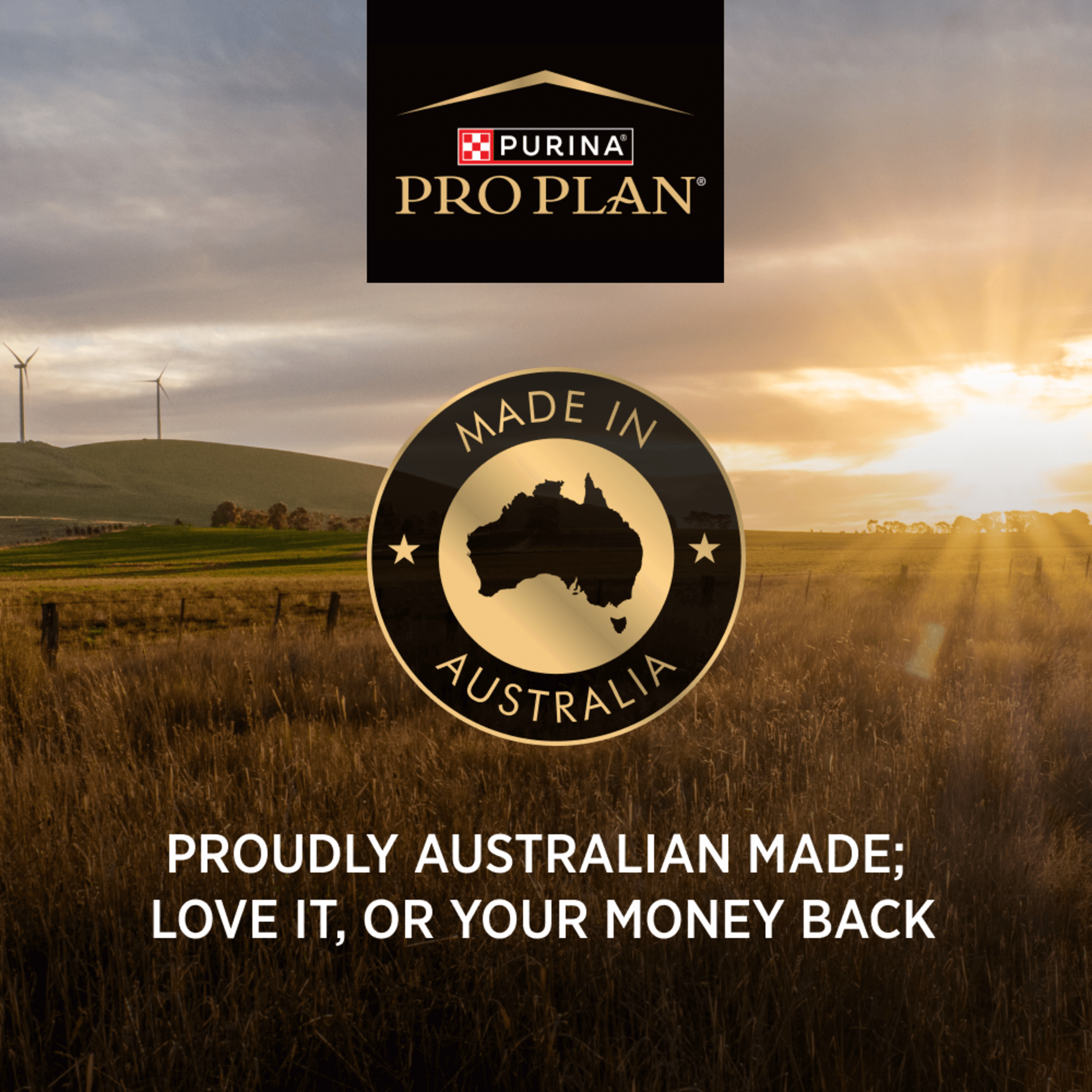 PRO PLAN Fussy & Beauty Salmon Formula Dry Cat Food 1.5kg - Image 6