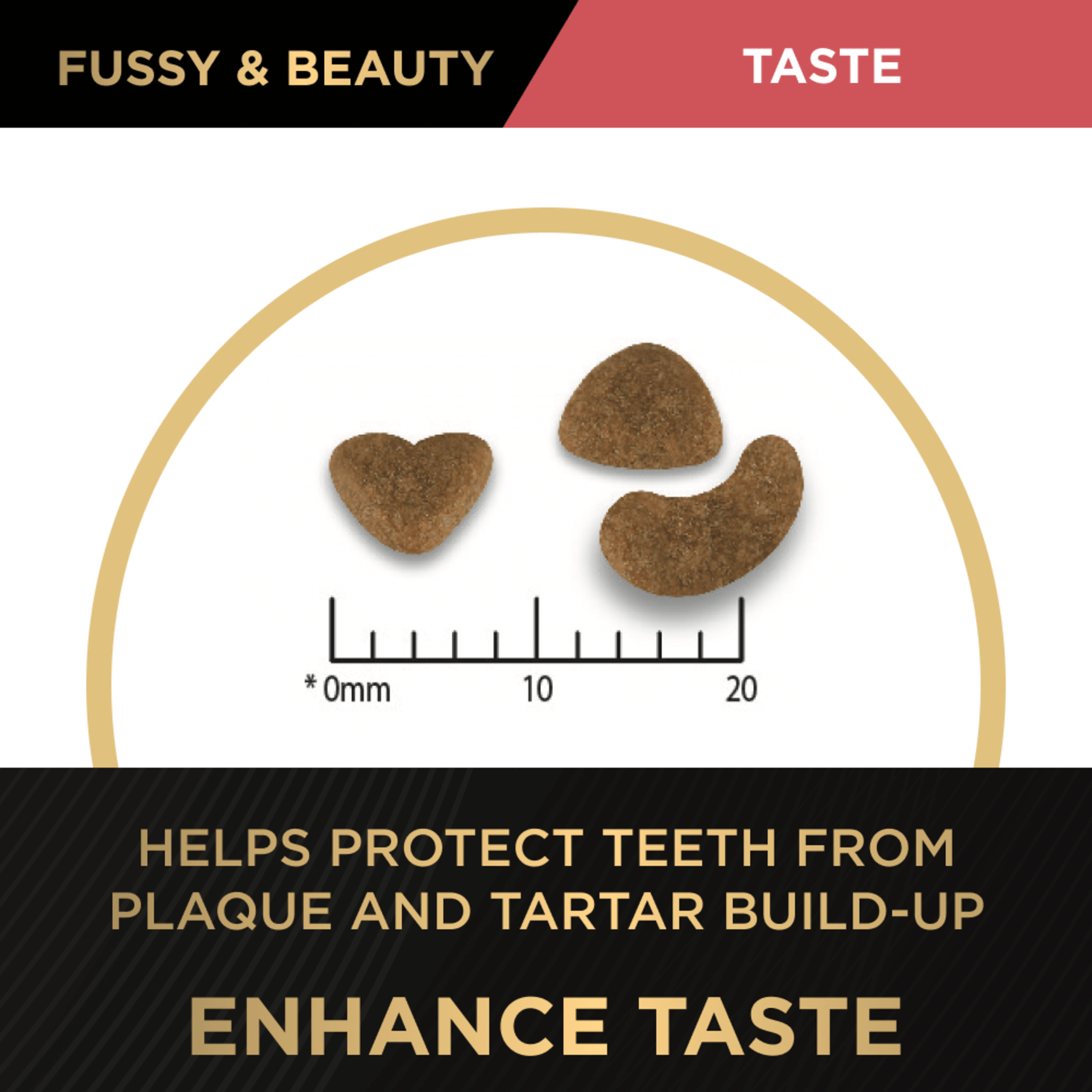 PRO PLAN Fussy & Beauty Salmon Formula Dry Cat Food 1.5kg - Image 5