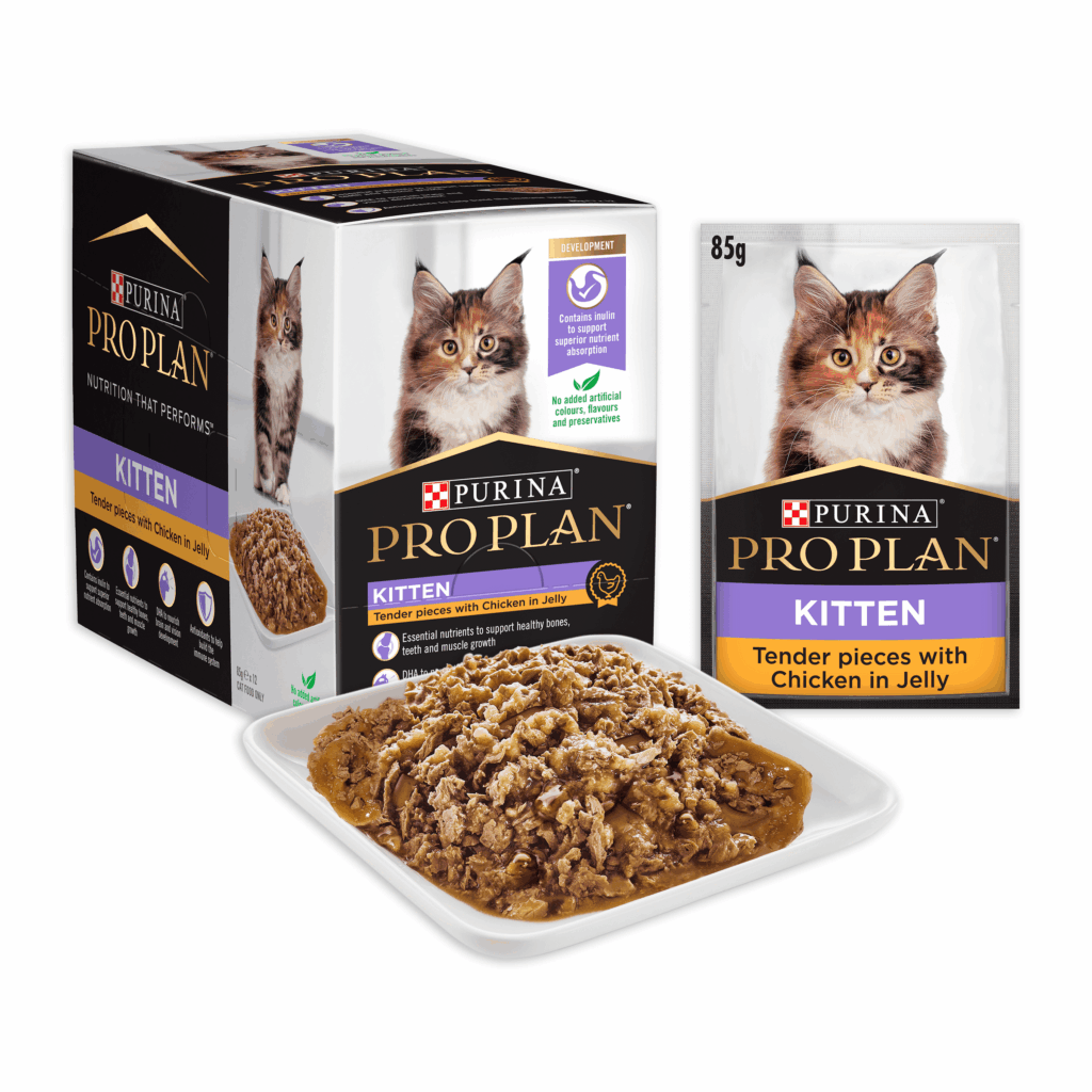 PRO PLAN Chicken in Jelly Kitten Food 85gx12
