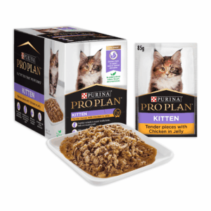PRO PLAN Chicken in Jelly Kitten Food 85gx12