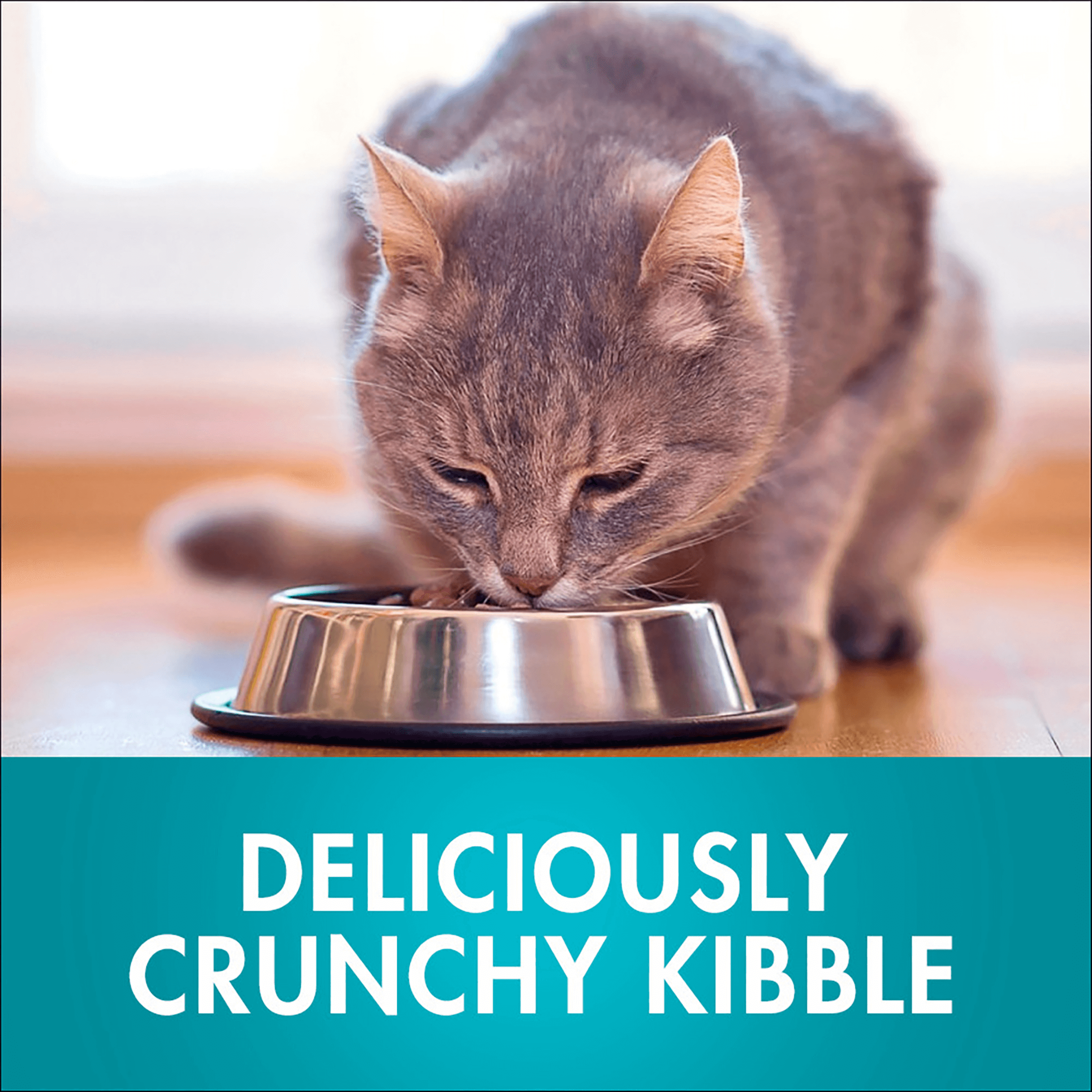 Purina ONE Adult Salmon & Tuna Dry Cat Food Bag 3kg - Image 6