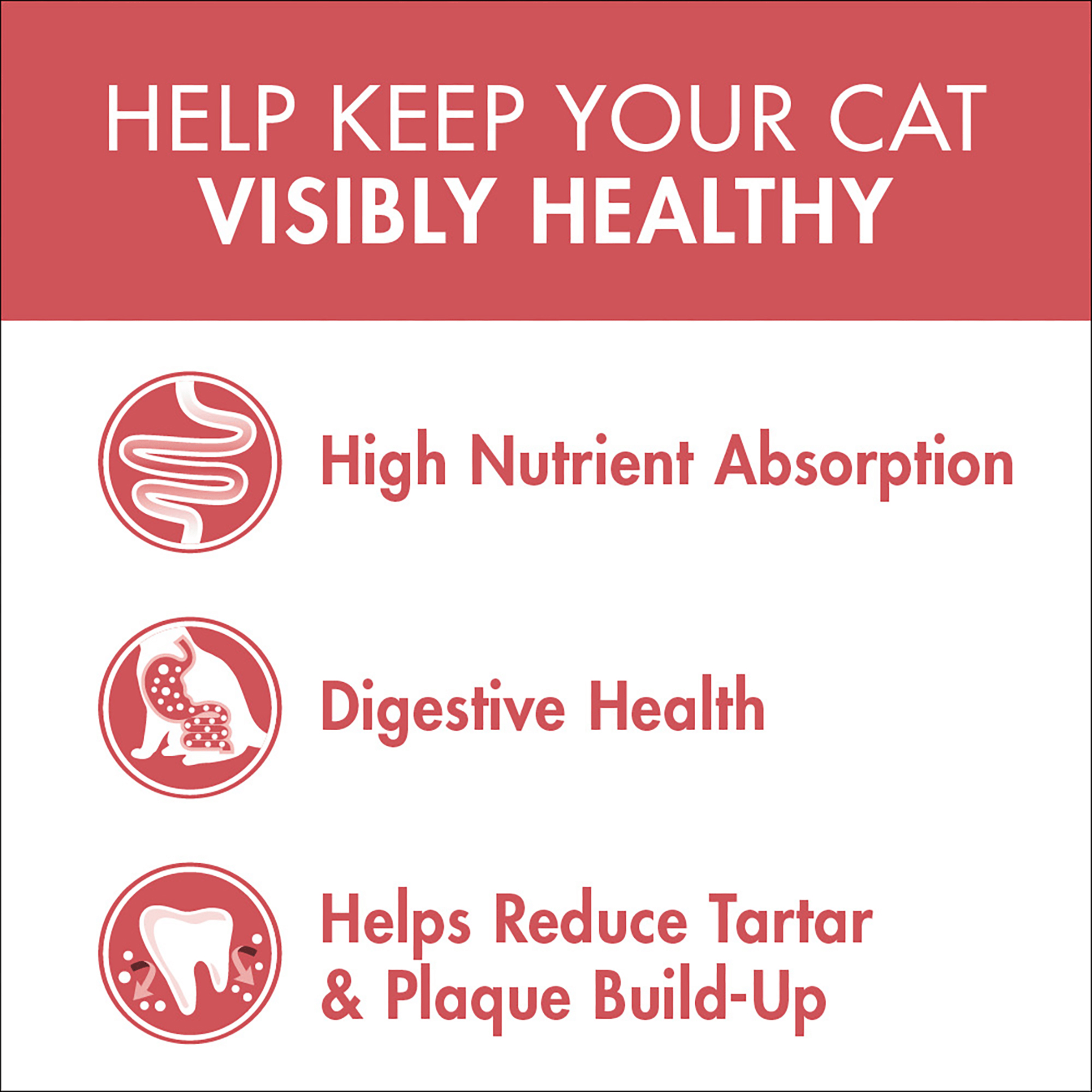 Purina ONE Adult Salmon & Tuna Dry Cat Food Bag 3kg - Image 4