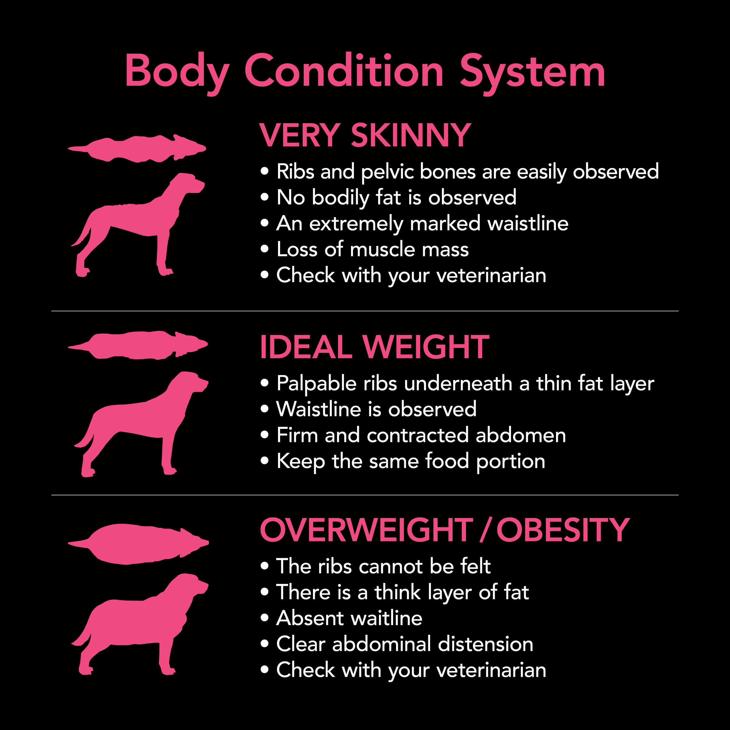 SUPERCOAT® SMARTBLEND® Puppy Dog Food With Chicken 2.6kg - Image 8