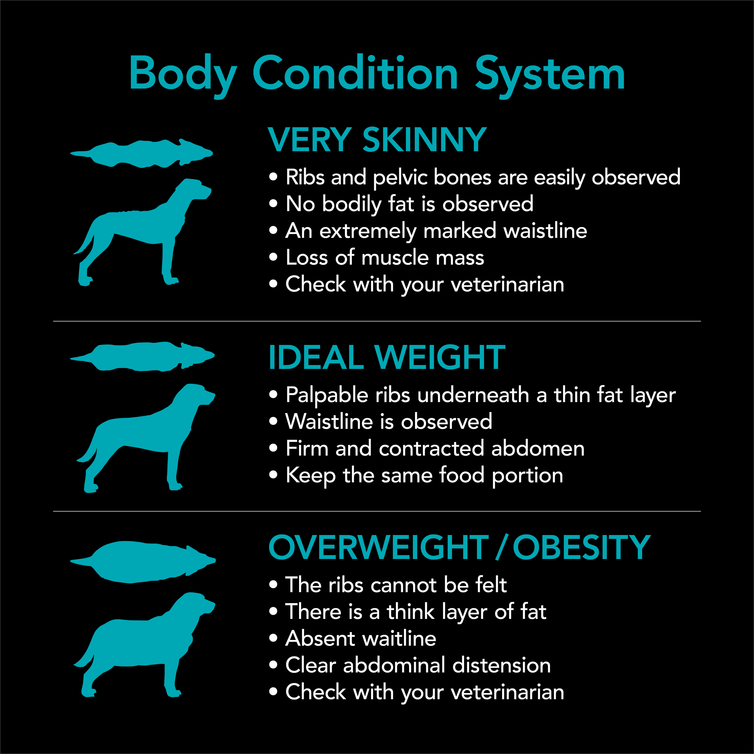 SUPERCOAT® SMARTBLEND® Adult Sensitive Dog Food With Fish 2.6kg - Image 6