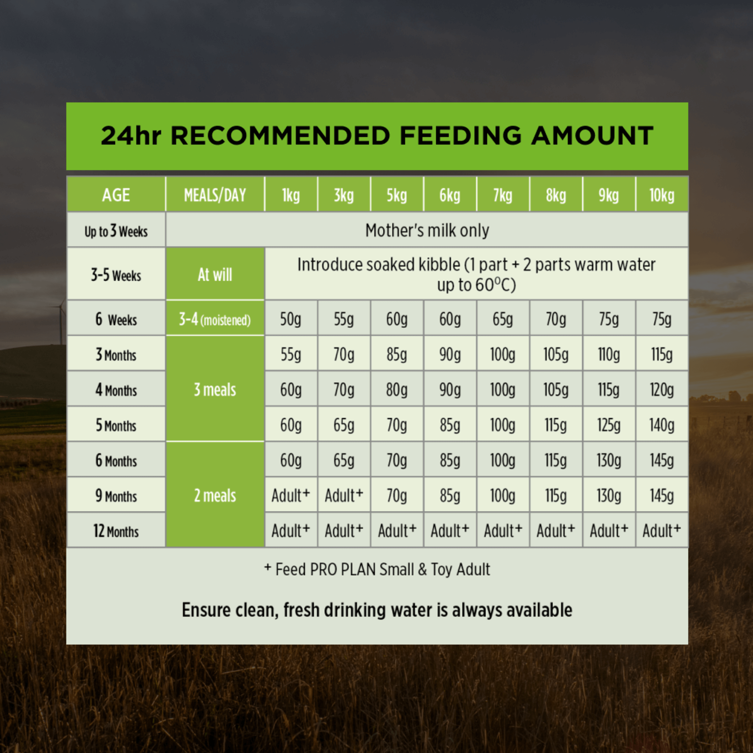 PRO PLAN Puppy Small & Toy Breed Chicken Dry Dog Food 2.5kg - Image 12