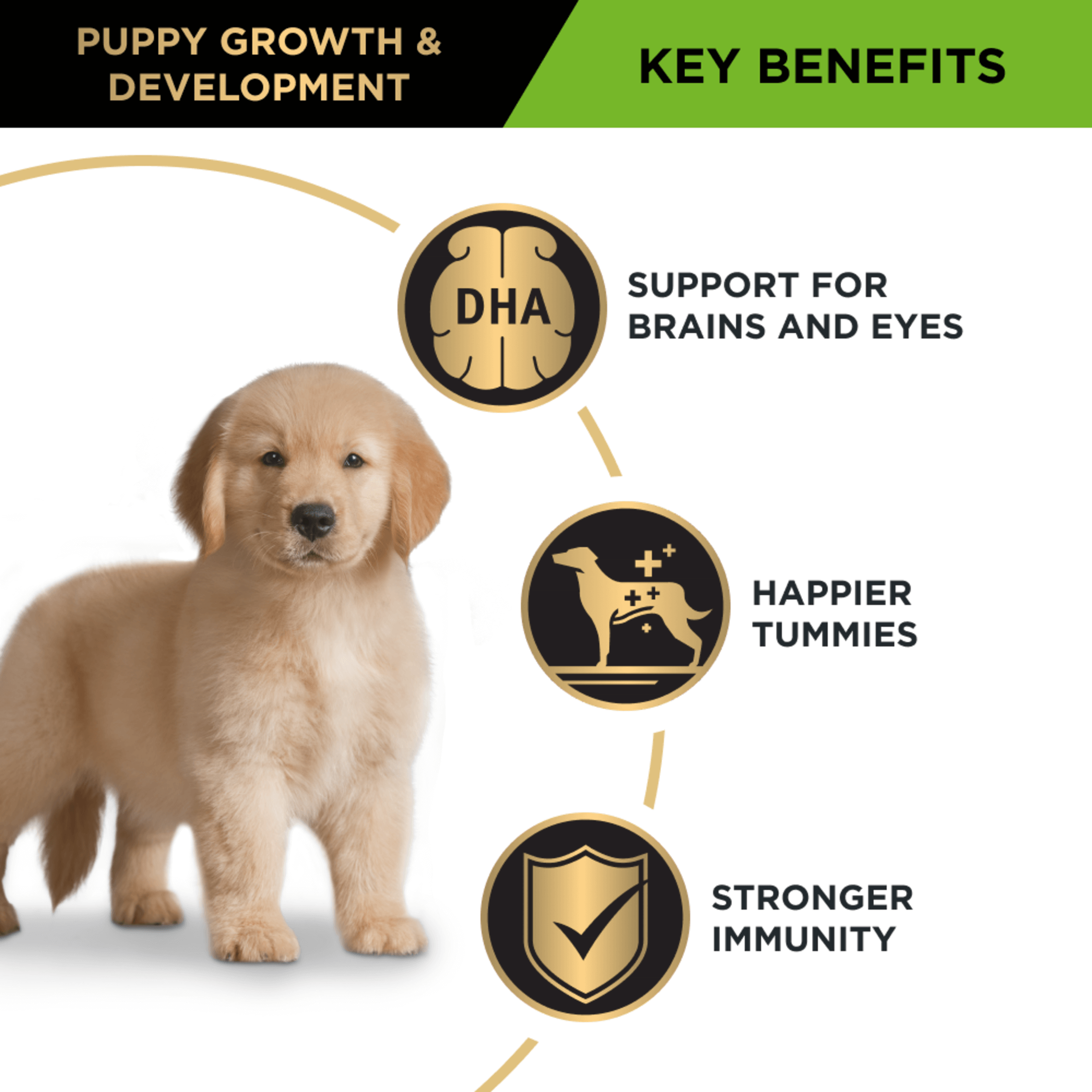 PRO PLAN Puppy Large Breed Chicken Dry Dog Food 15Kg - Image 12