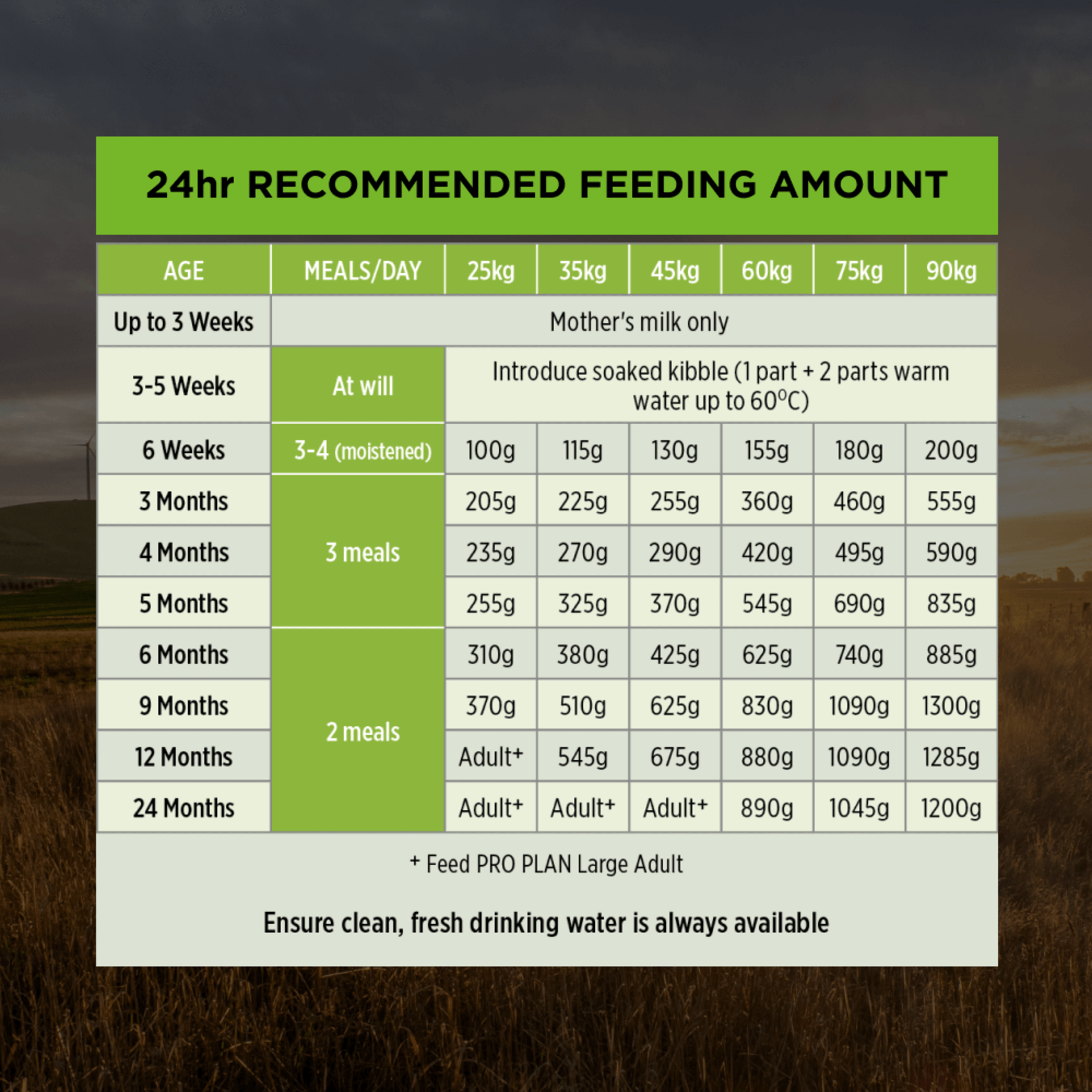 PRO PLAN Puppy Large Breed Chicken Dry Dog Food 15Kg - Image 14